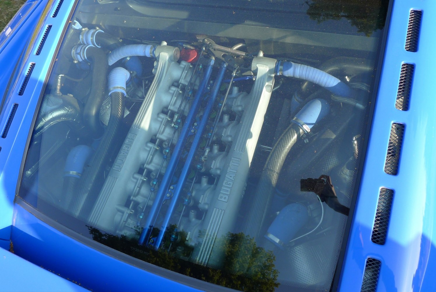 V12 engine with blue silicone hoses under rear glass