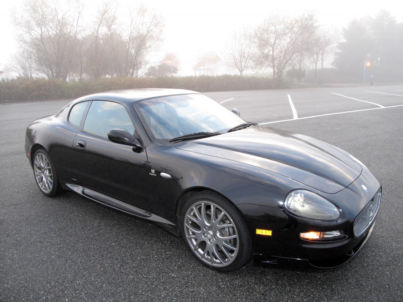 Black two-door sports coupe with distinctive alloy wheels and V8 badge