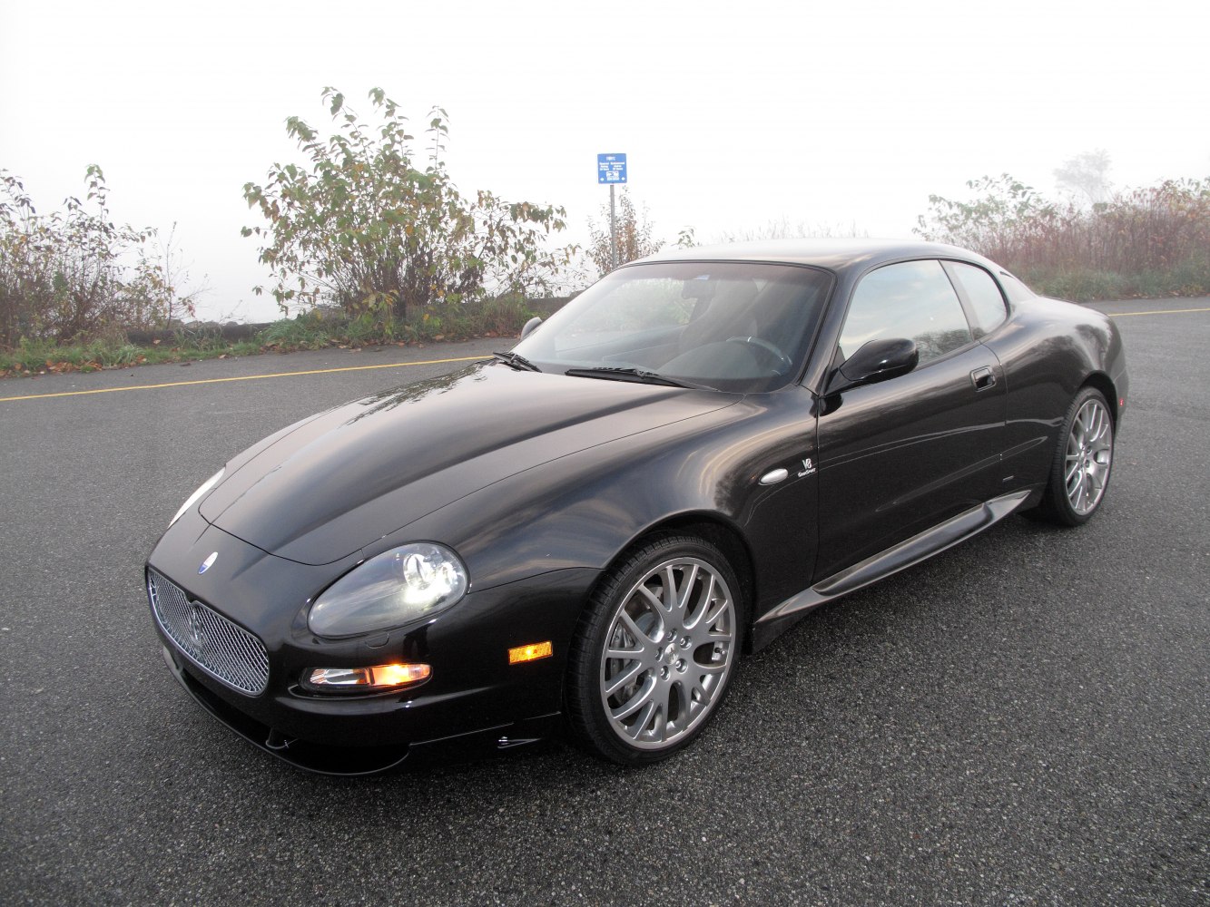 Black sporty coupe with V8 badge and alloy wheels