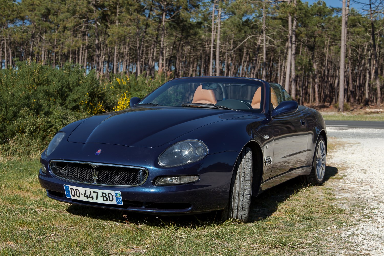 Convertible sports car front view with mesh grille and sporty headlights
