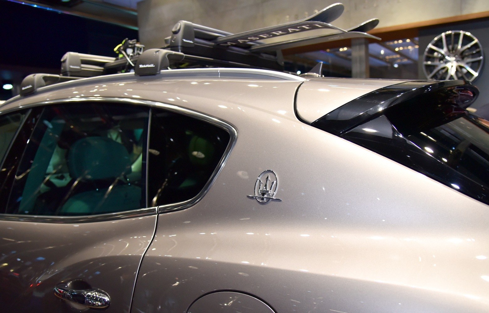 Rear side panel and roof rack of luxury SUV with emblem.