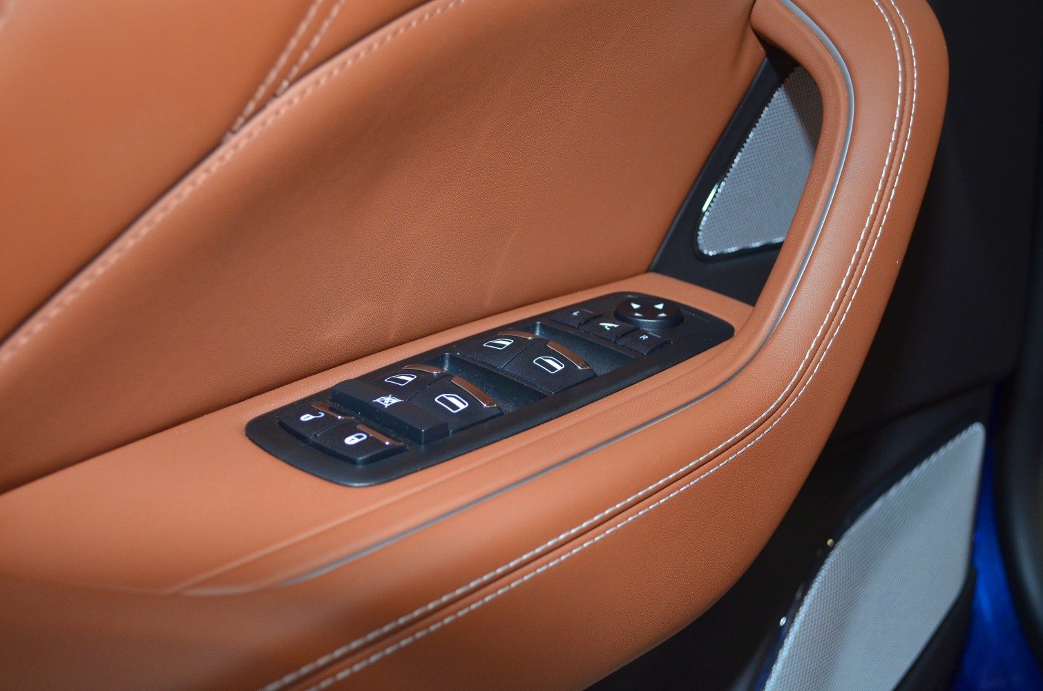 Luxury car door panel with window and mirror control buttons