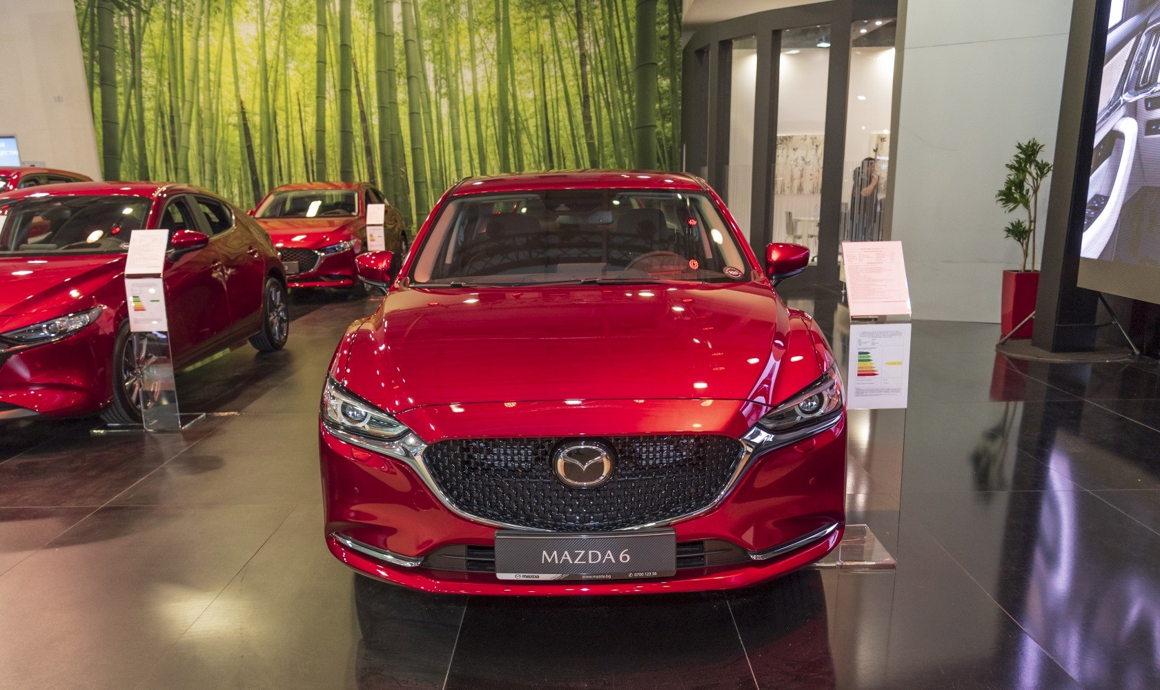 Front view with grille and sleek headlights