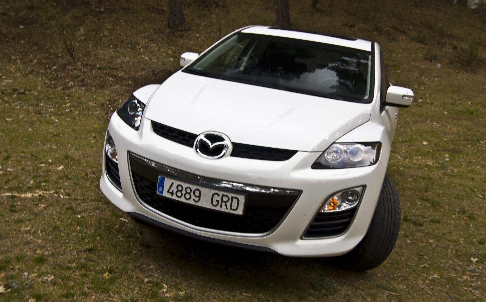 Front view featuring distinctive headlights and grille of a white SUV