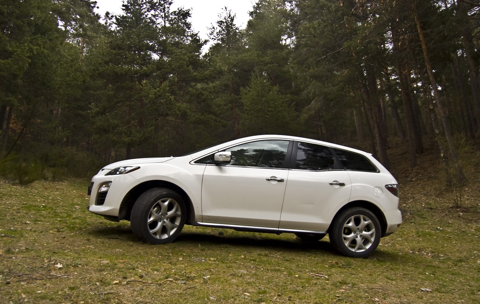 White midsize SUV side view in forest with alloy wheels and tinted windows