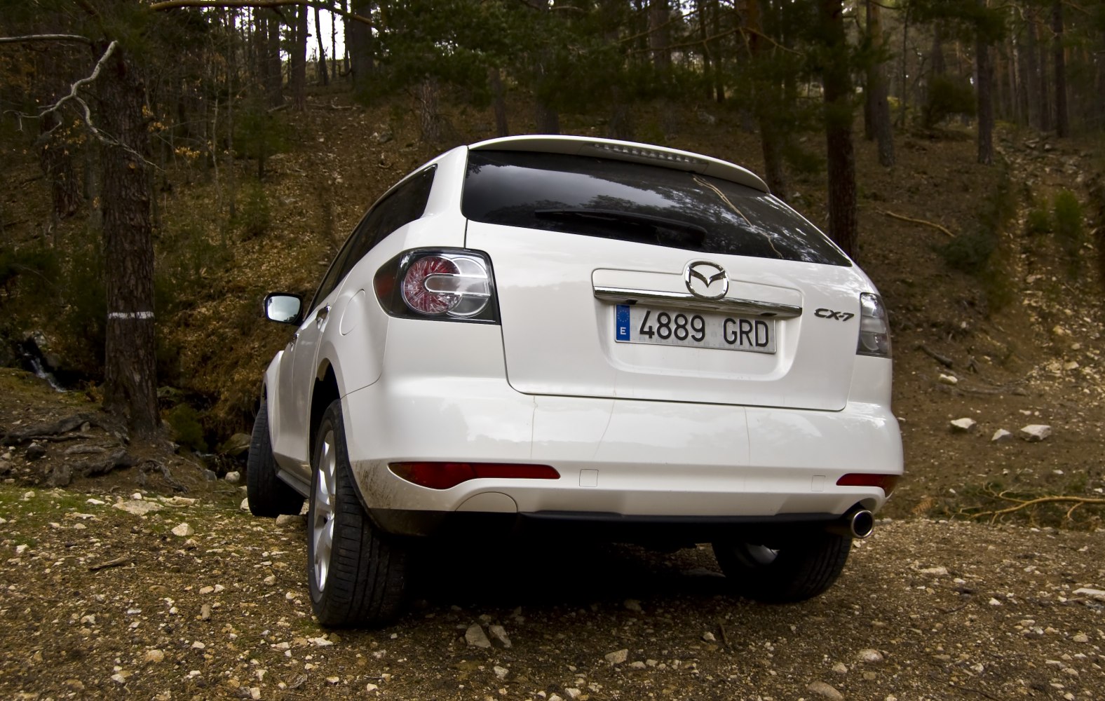 Rear view of white SUV with clear tail lights and exhaust pipe in forest