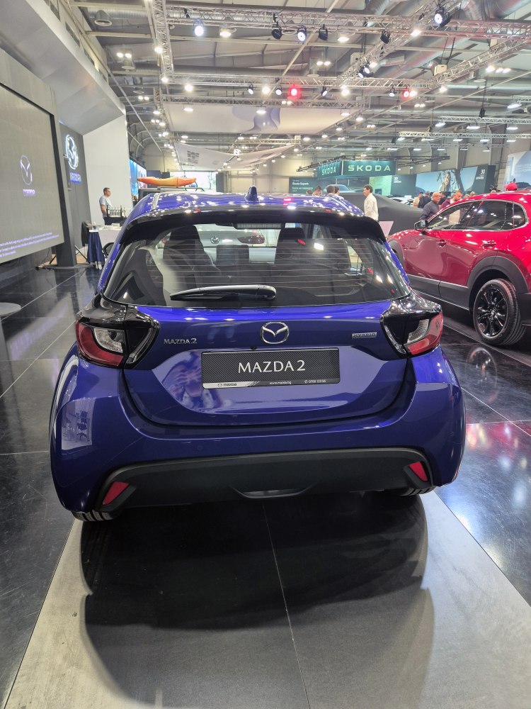 Rear view of hatchback with taillights and roof antenna