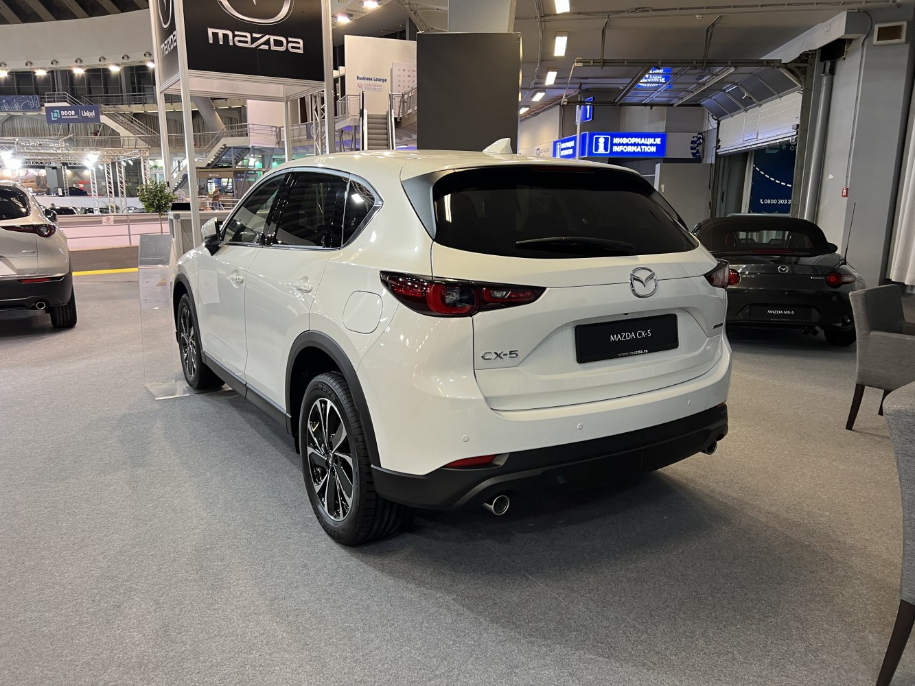 Rear view of white compact SUV with sleek tail lights and sporty wheels.