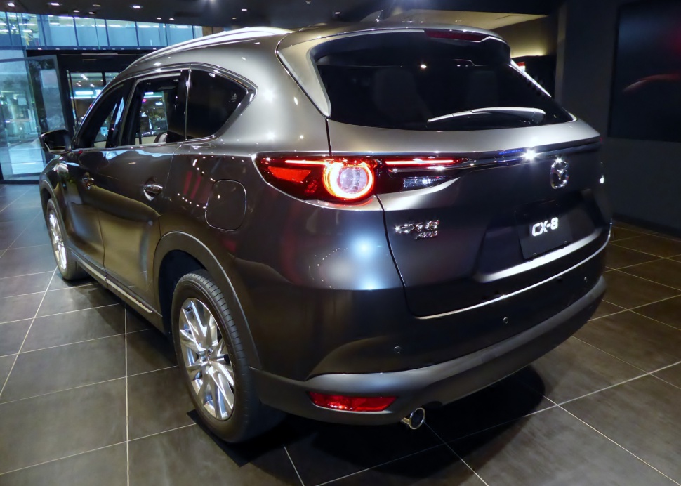 Rear view of SUV with illuminated circular tail lights