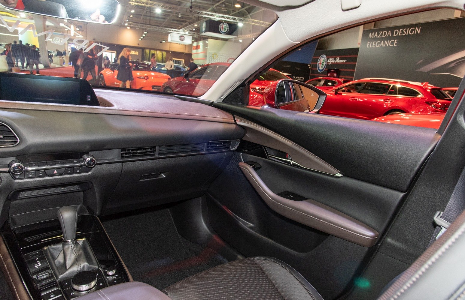 Dashboard and passenger side door panel interior features