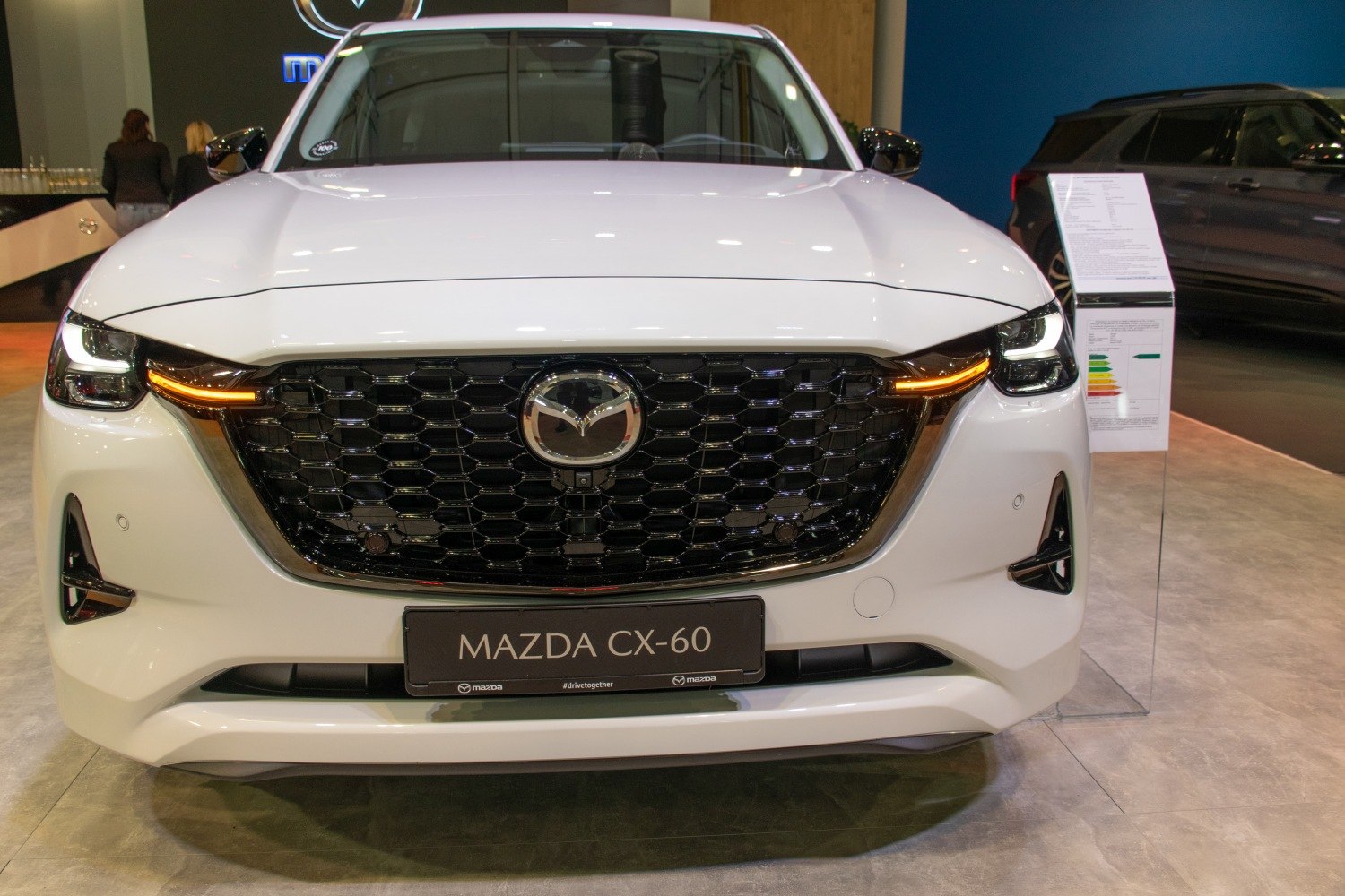 Close-up of front grille and headlights with LED daytime running lights