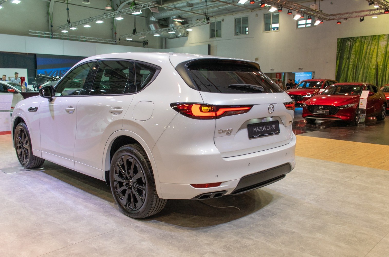 Rear view with LED taillights and black alloy wheels