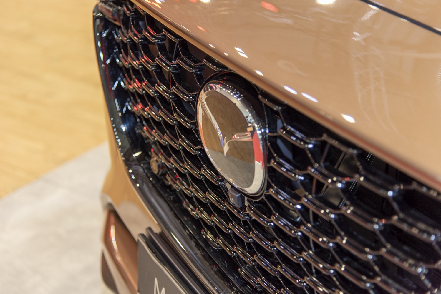 Close-up of a car’s honeycomb front grill and central emblem