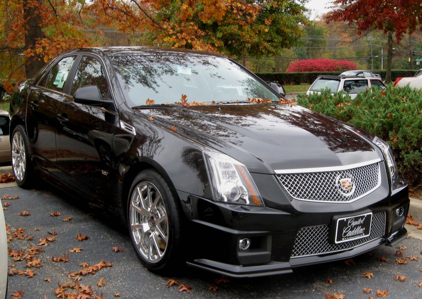 Front grille and alloy wheels close-up of a black luxury sedan