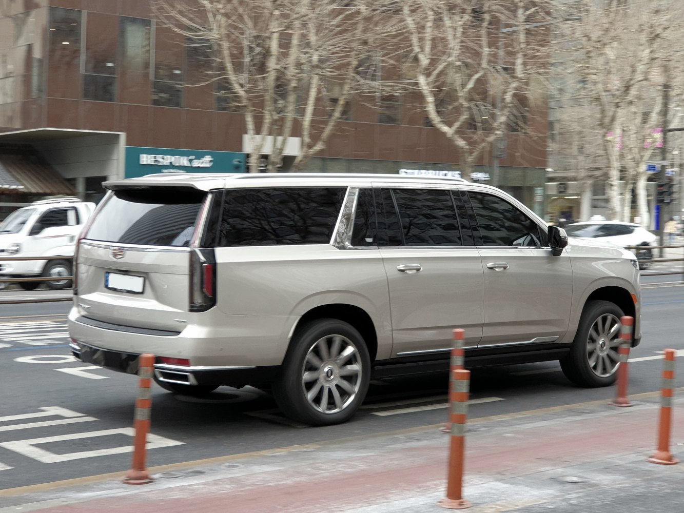 Full-size luxury SUV rear side profile with tinted windows and distinctive taillights