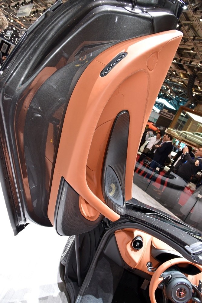 Tan leather interior door panel with carbon fiber trim and dashboard details.