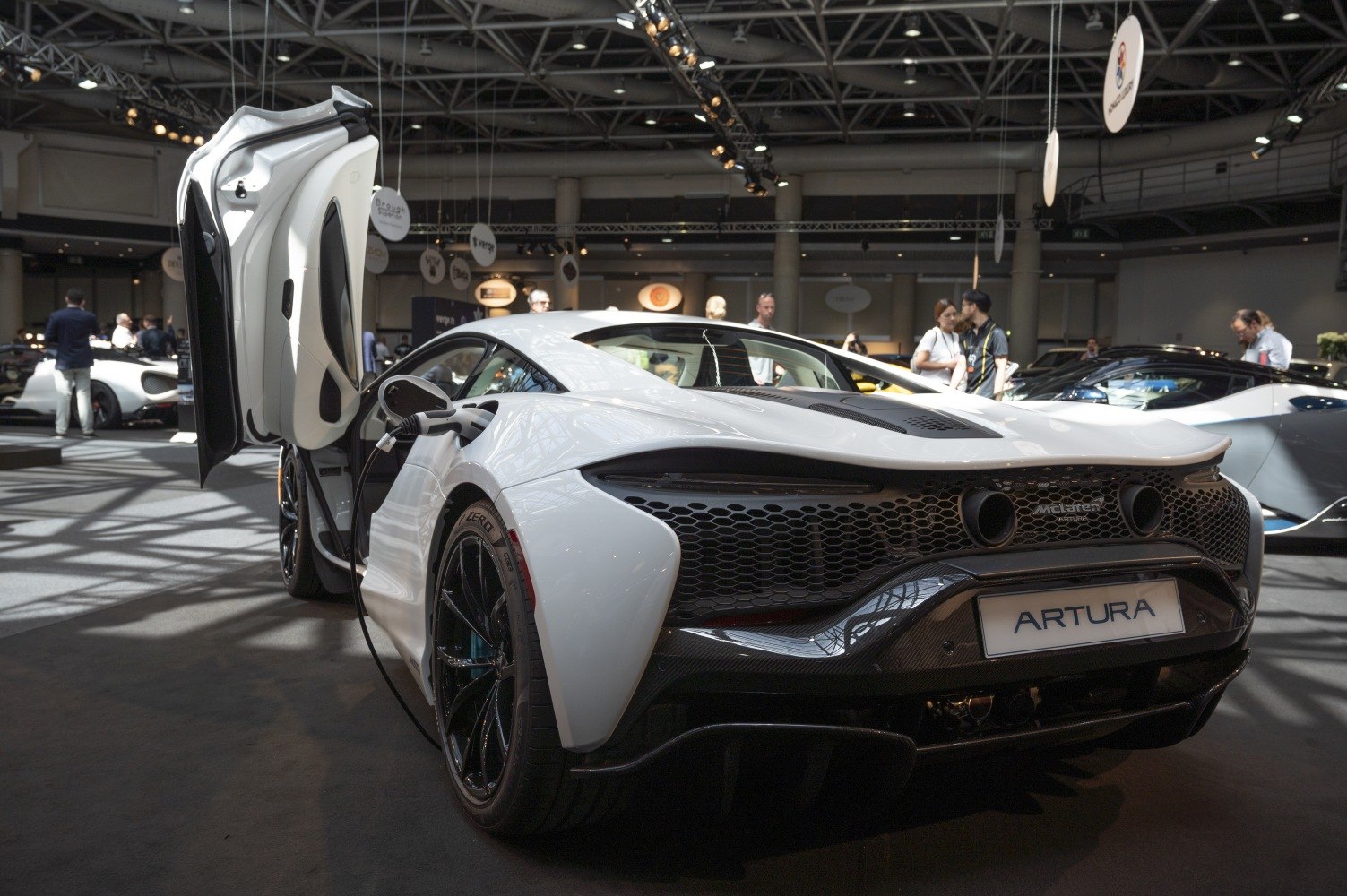 Rear view with butterfly door and electric charging port