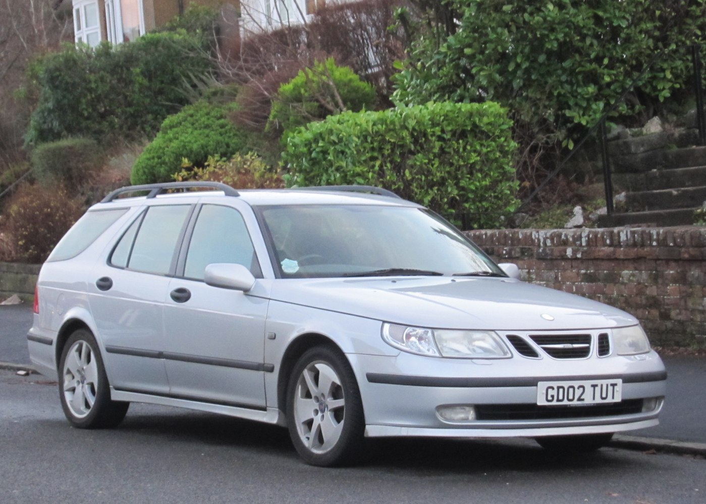Front-side profile of an estate car with roof rails