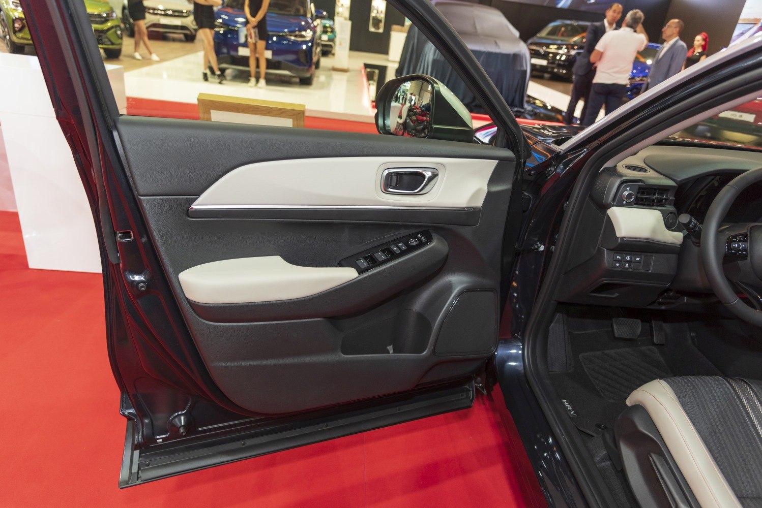 Interior door panel with controls and driver side cabin details