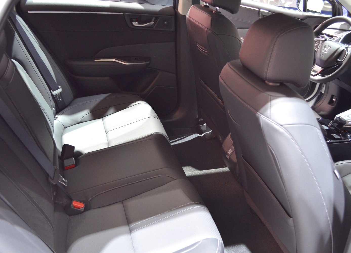 Rear seating area and door panel with leather upholstery and modern handle