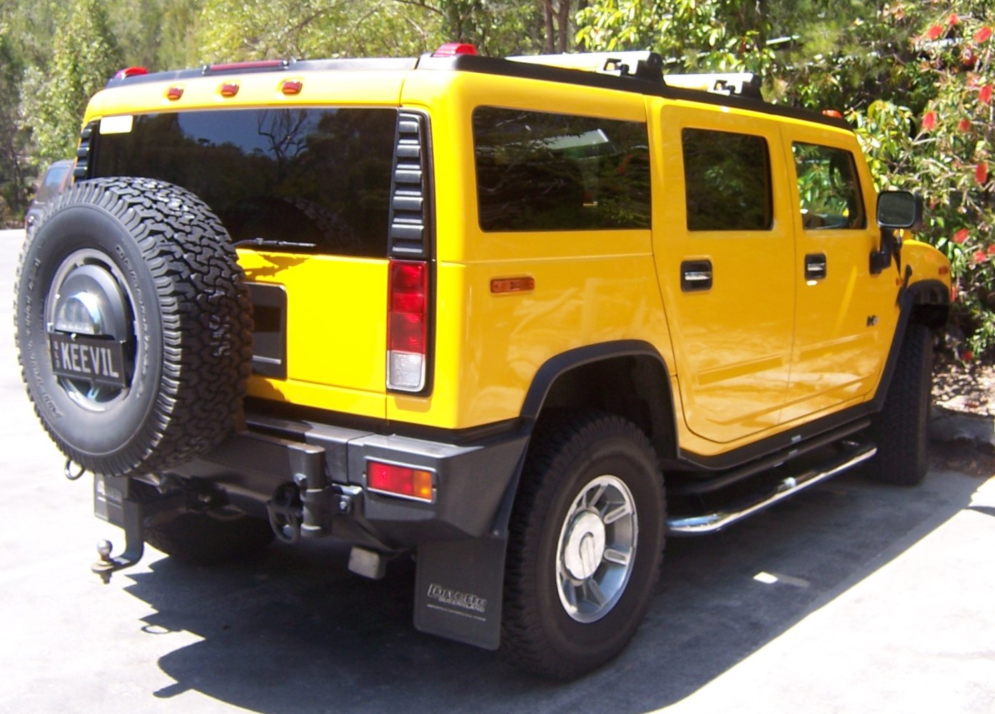 Yellow SUV rear view with spare tire, roof rack, side steps