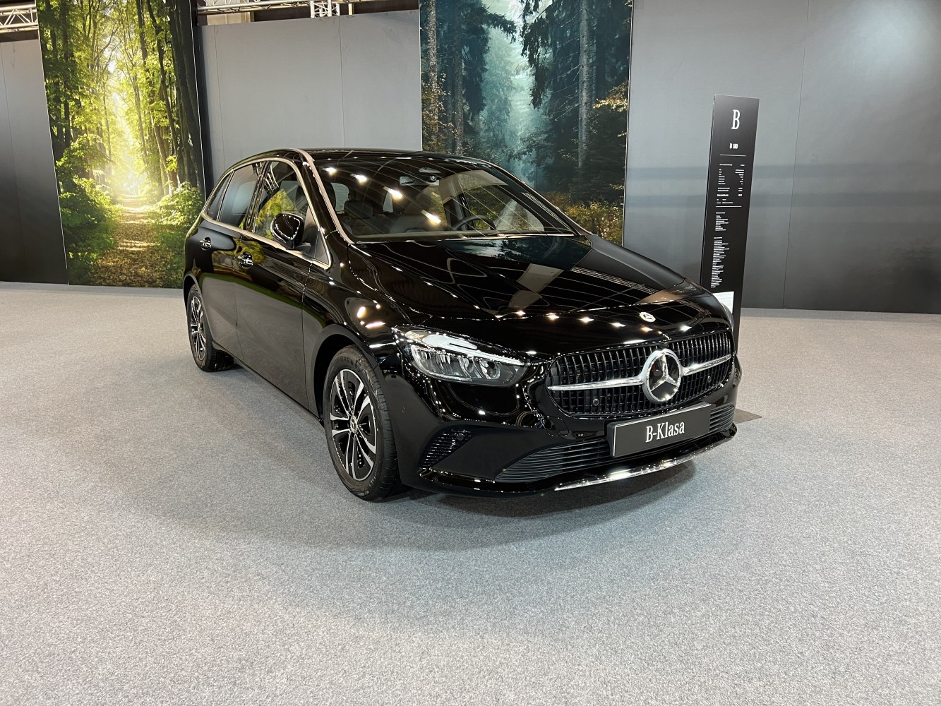Front grille and side profile of a luxury hatchback