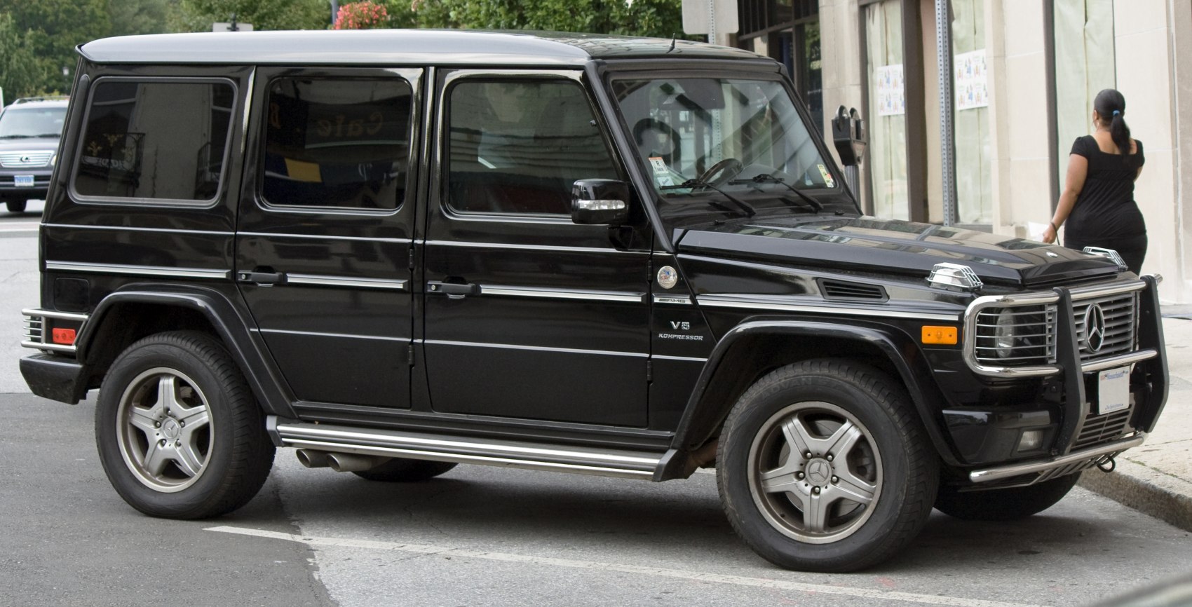 Black SUV side profile with protective grille and tubular side steps