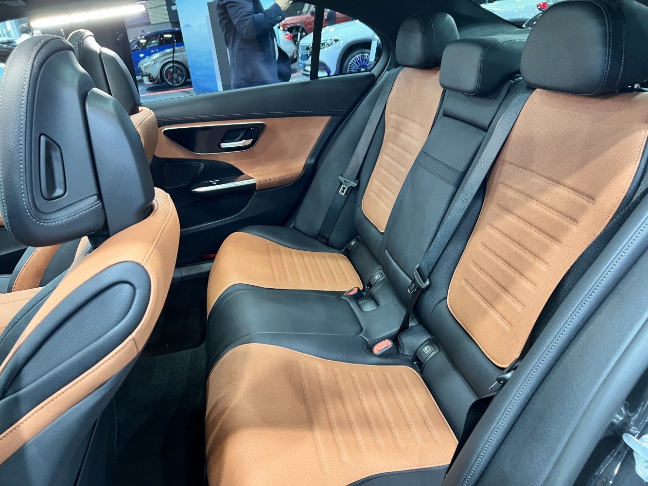 Modern rear seats with two-tone leather upholstery and sleek door panel.
