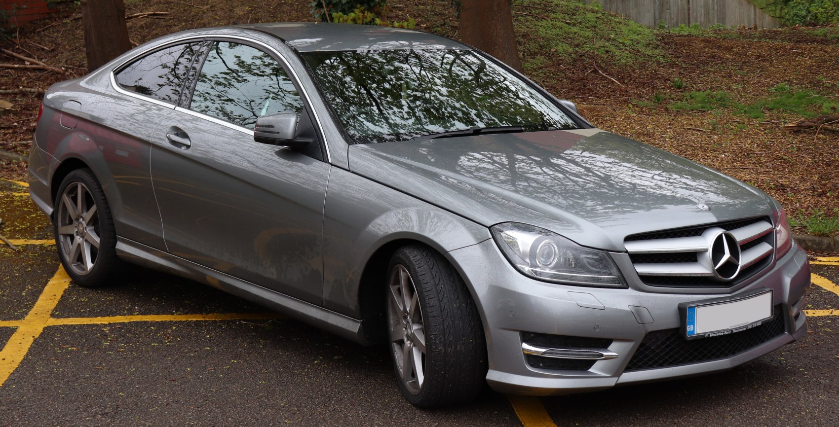 Front and side profile of silver metallic coupe with sporty wheels and headlights.