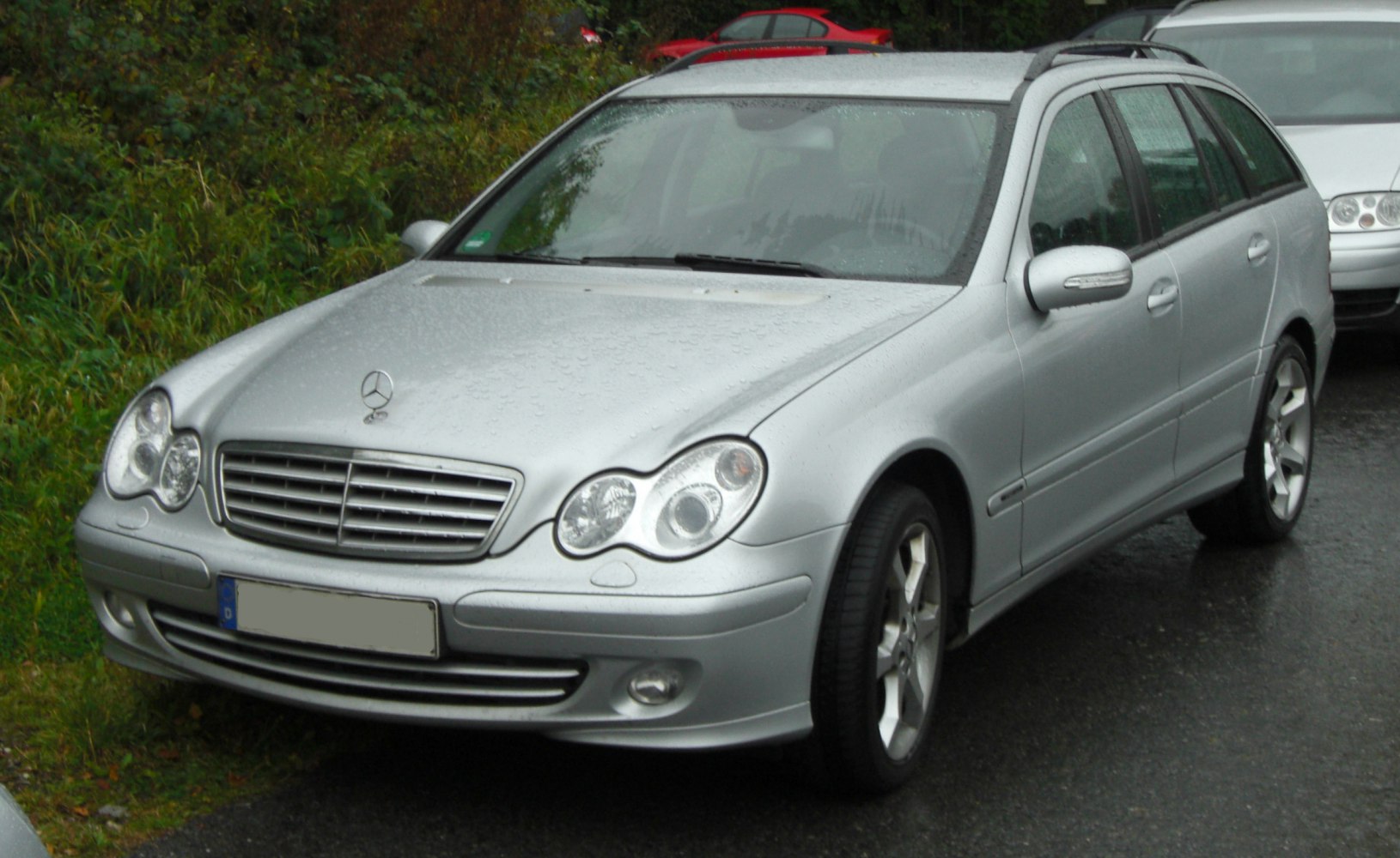 Silver estate car with front grille, dual headlights, and roof rails