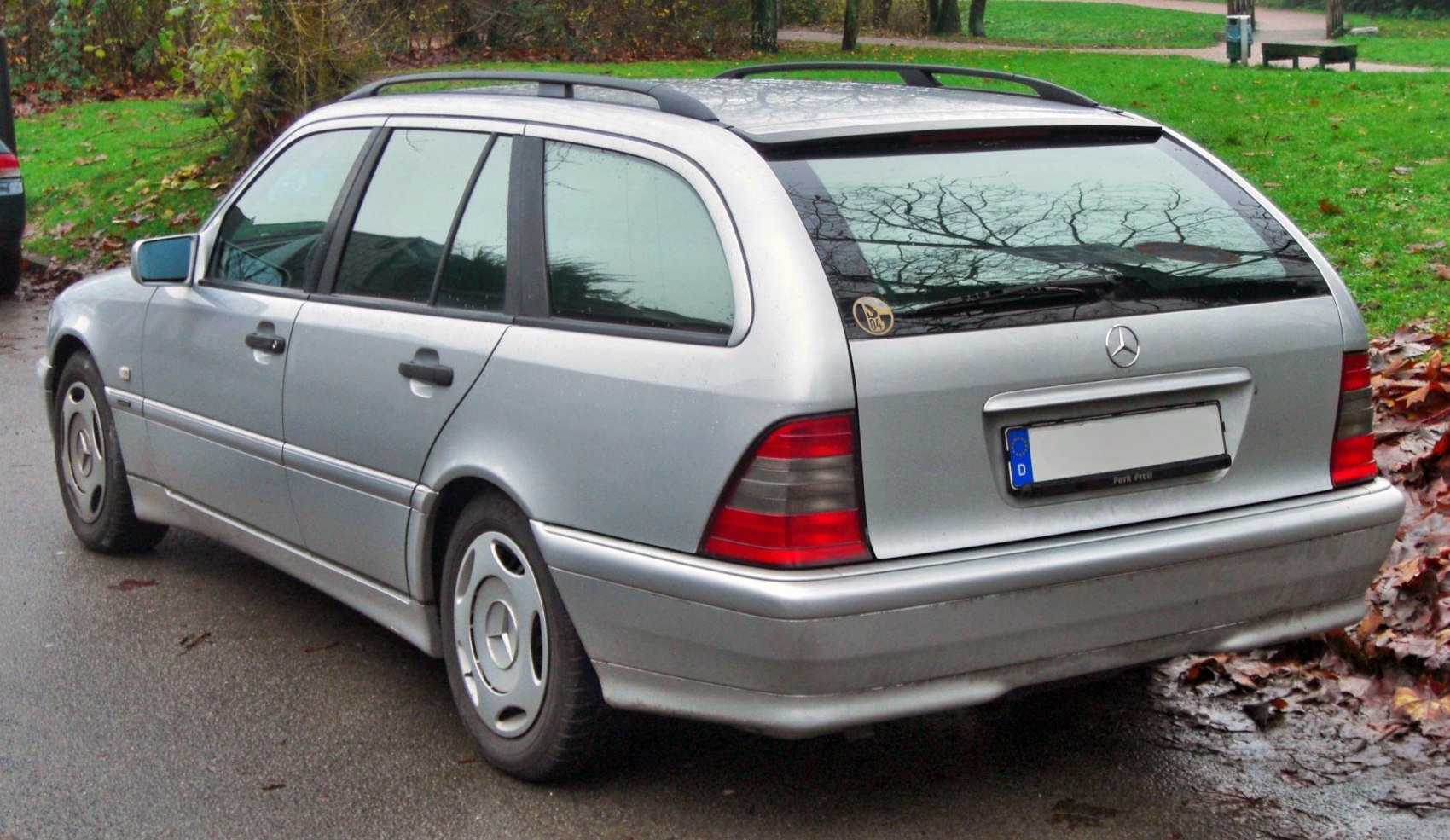 Rear and side profile of station wagon with distinct taillights and roof rails