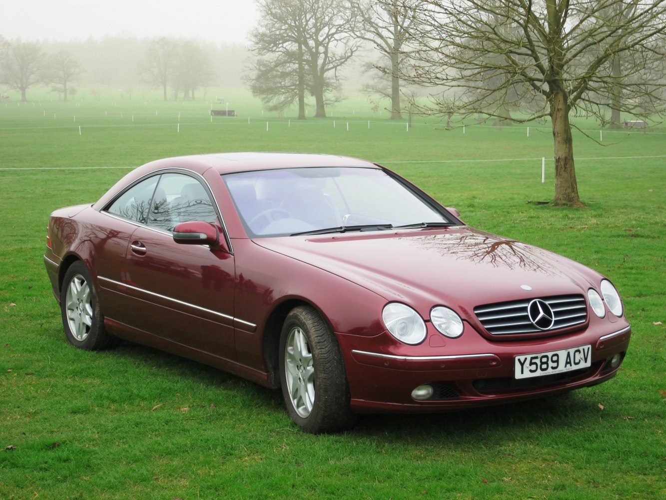 Luxury coupe with dual round headlights and sleek design.