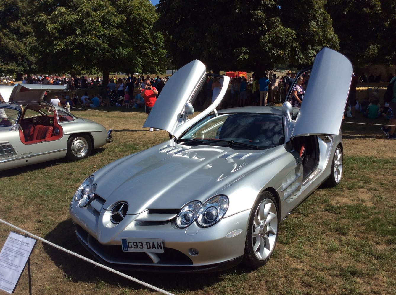 Silver coupe with signature gullwing doors open outdoor
