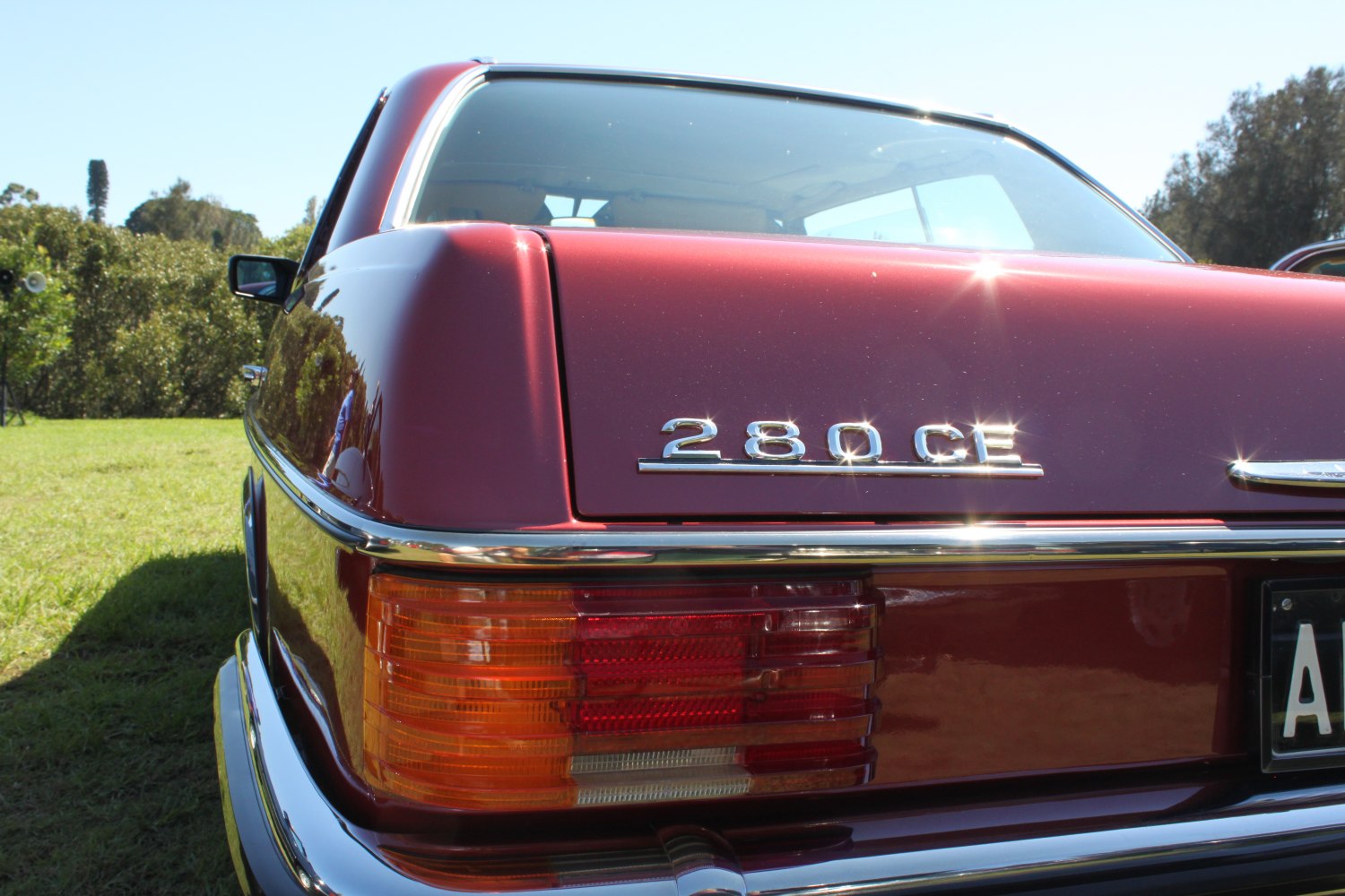 Close-up of rear badge and tail light with chrome trim