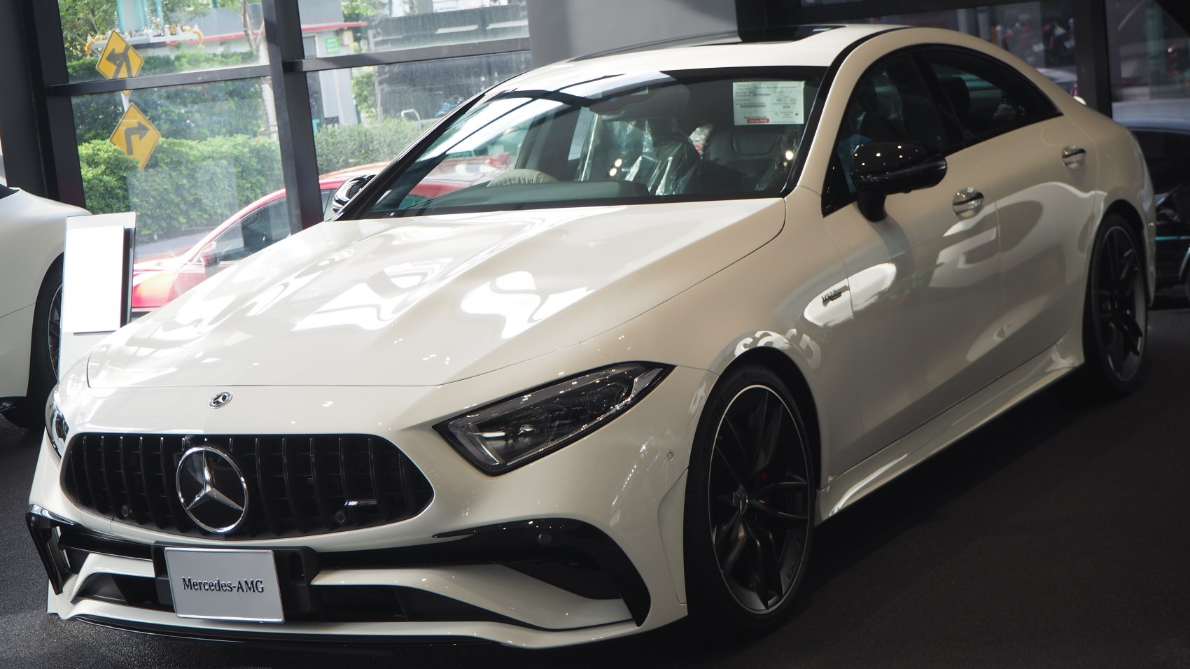 AMG Panamericana front grille and sleek coupe body with aggressive styling