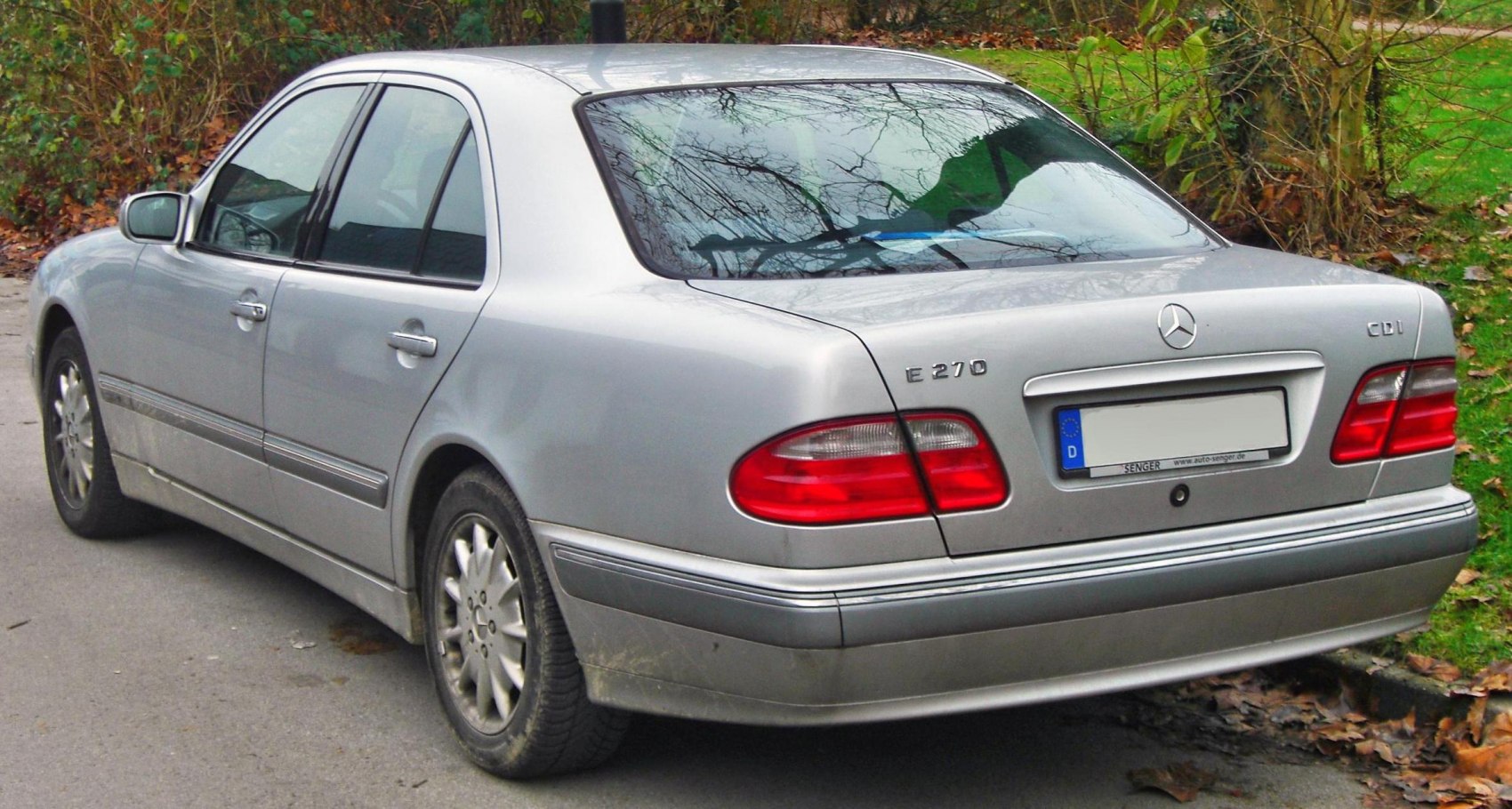Rear side view of a silver sedan with distinctive taillights and badges