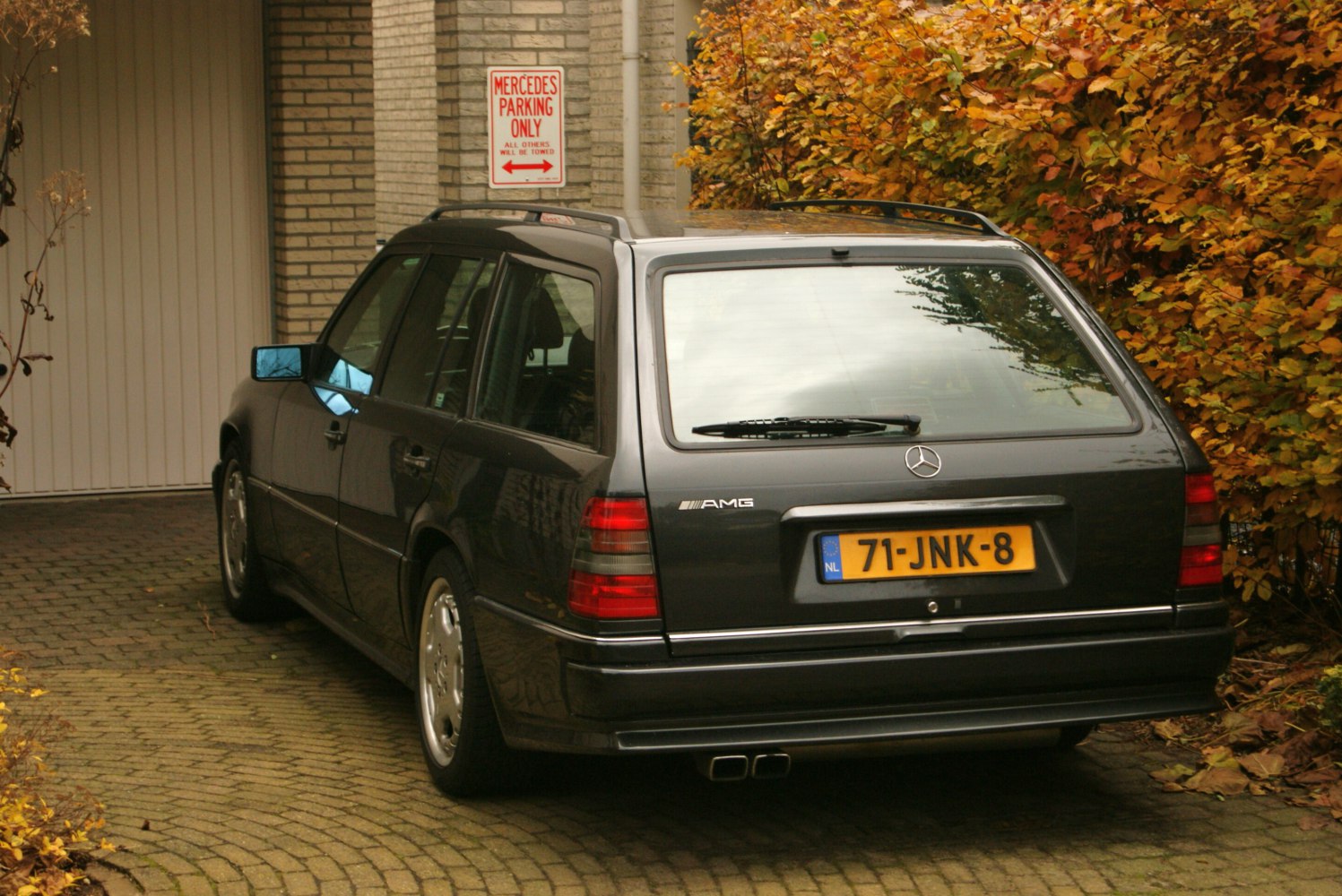 AMG station wagon rear with dual exhaust and autumn background