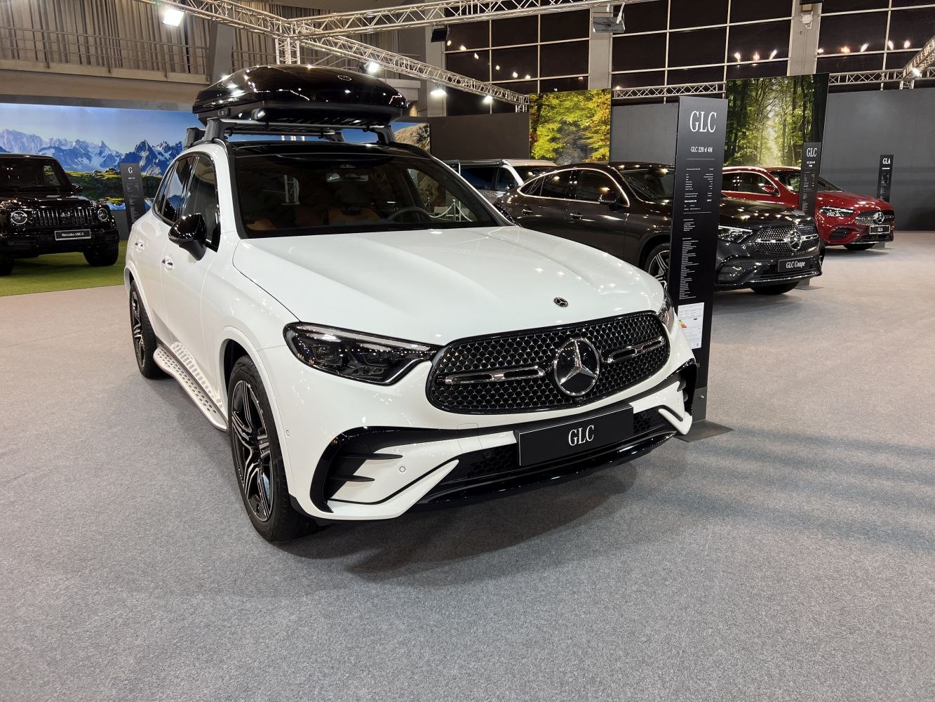 SUV front grille with black mesh and roof cargo box