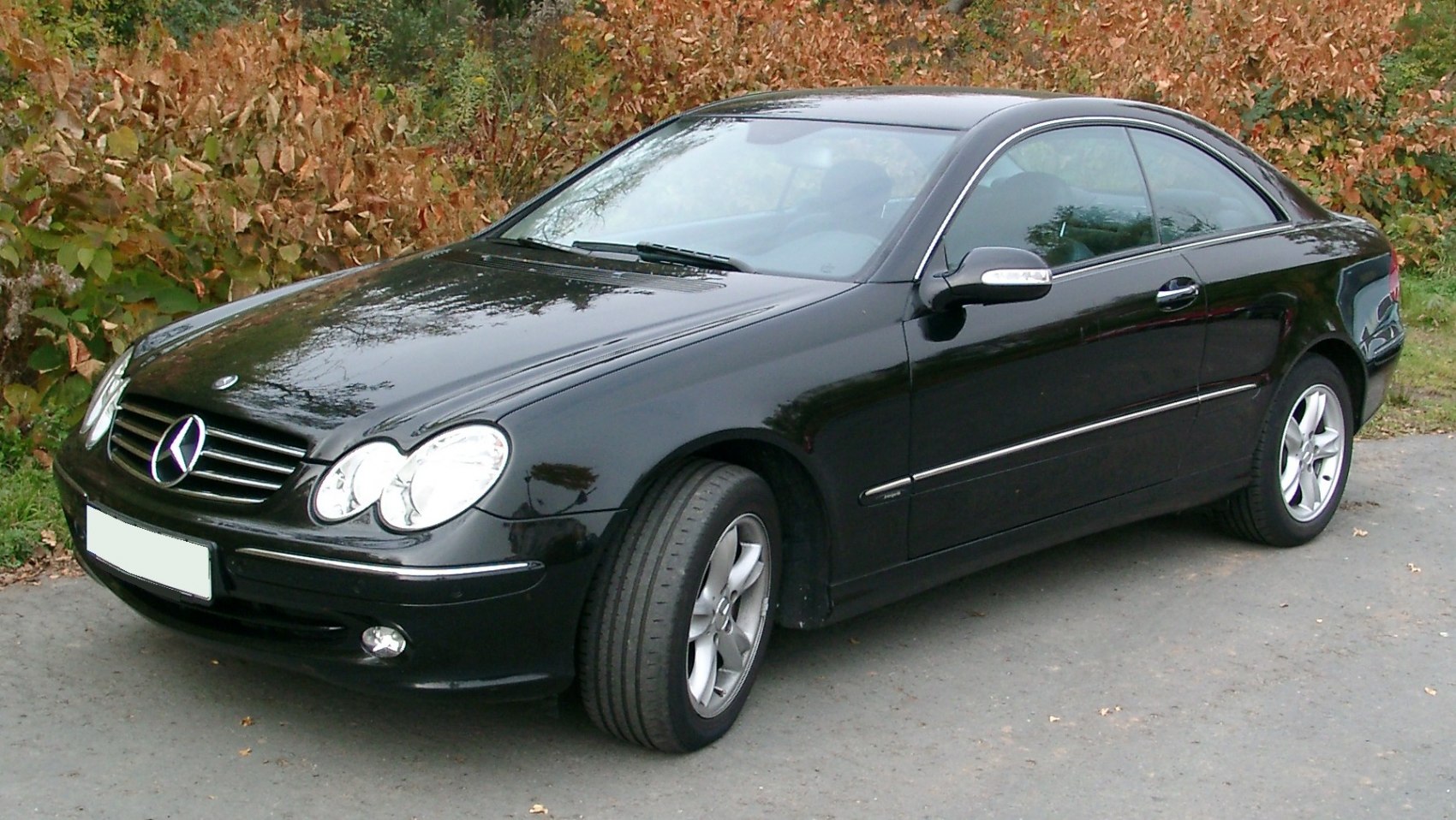 Front side view of a sleek black two-door coupe with alloy wheels.