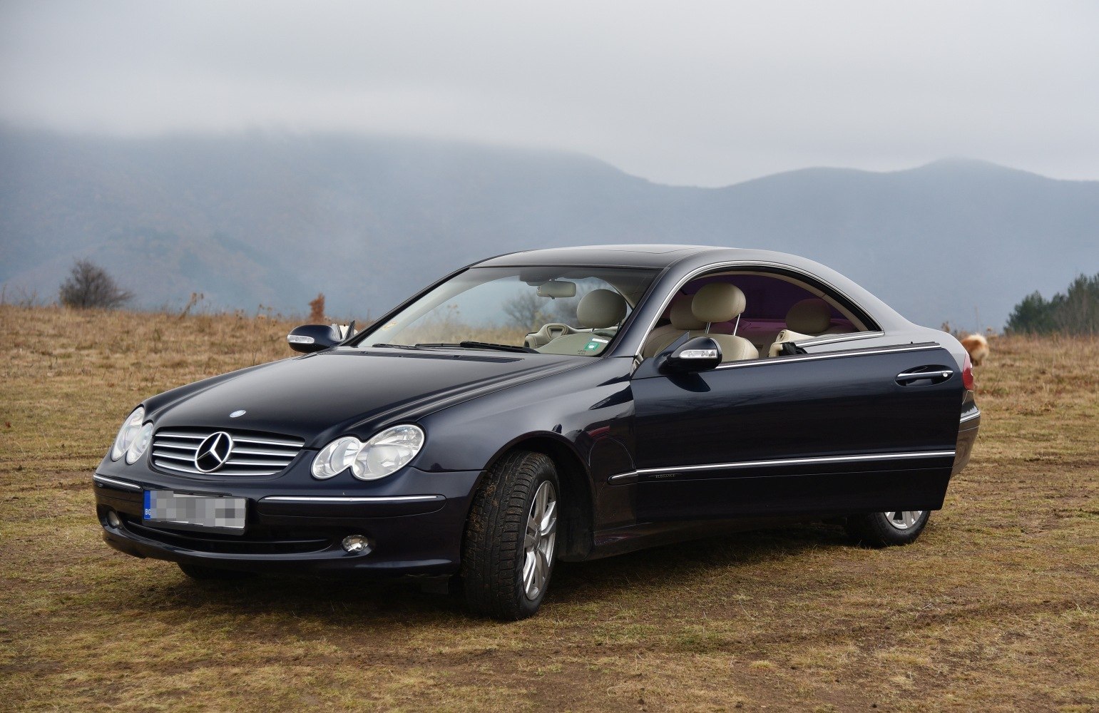 Front and side view of a coupe with distinctive grille and sleek body lines