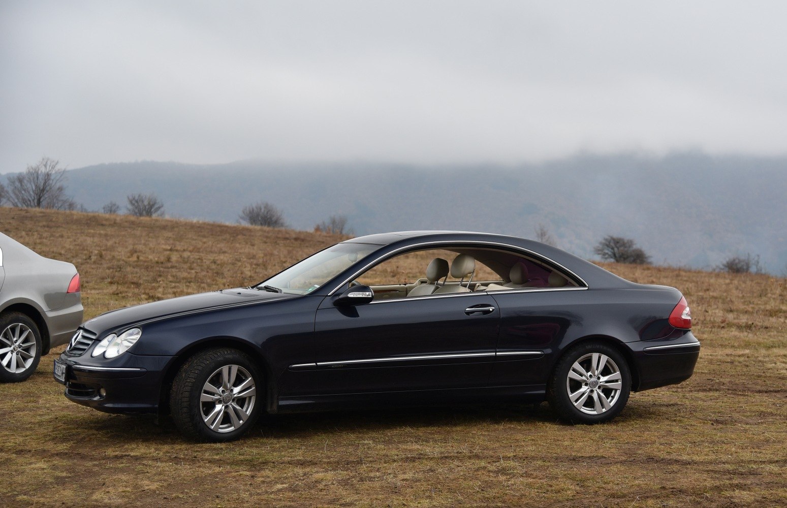 Side view of coupe with beige interior and alloy wheels