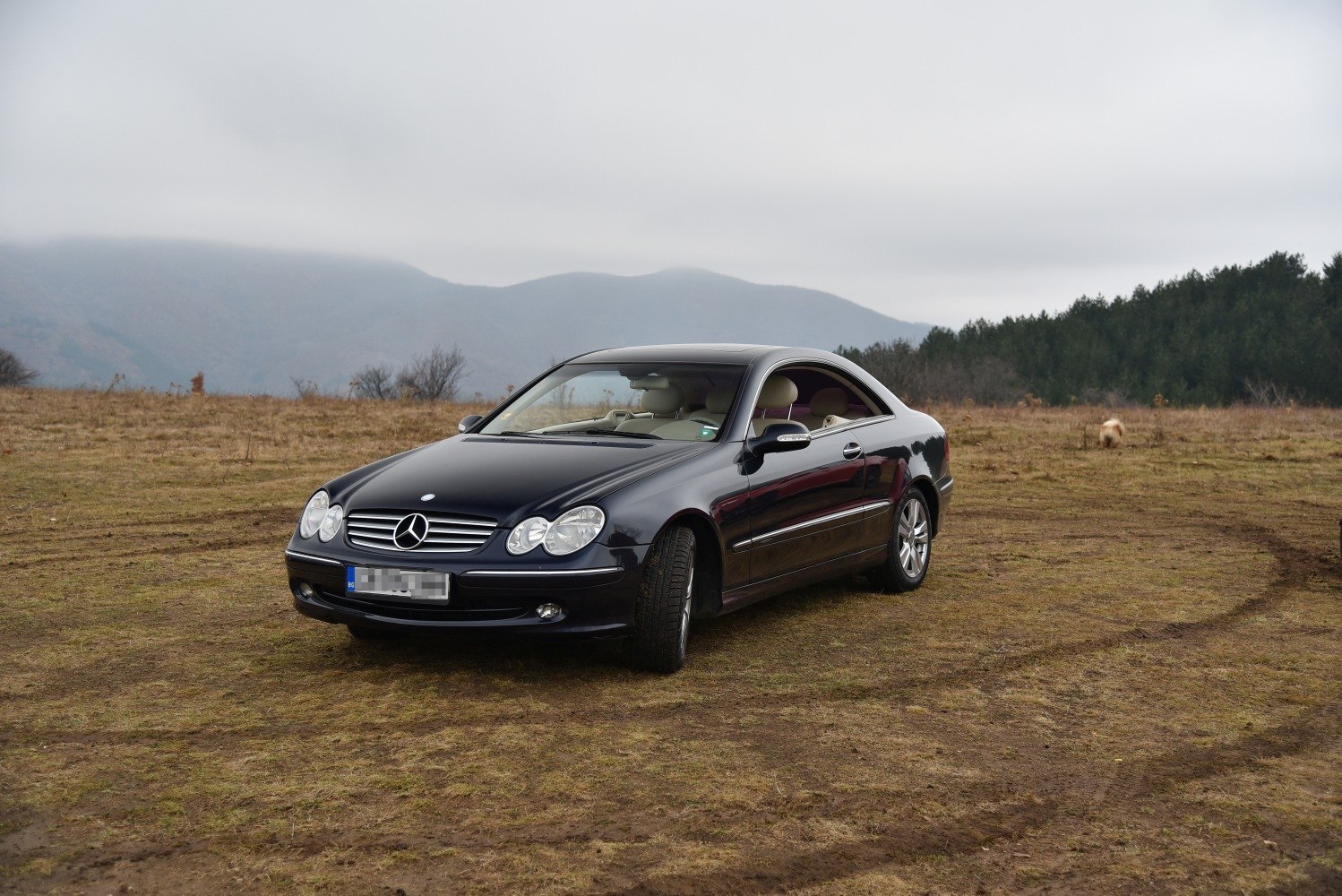 Classic black coupe front and side profile on field