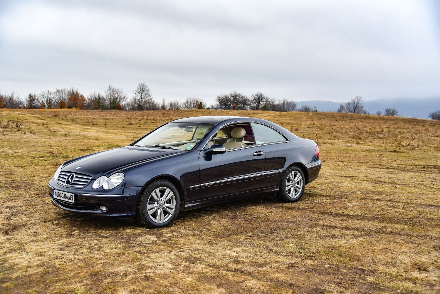 Sleek two-door luxury coupe with elegant curves and alloy wheels.