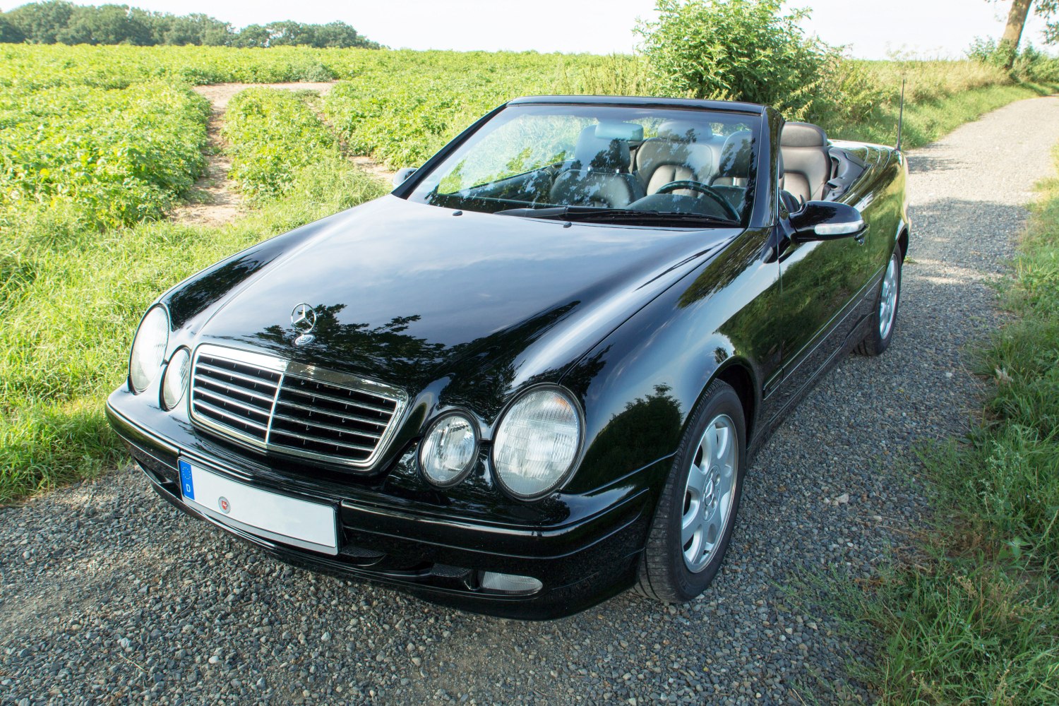 Black convertible with dual round headlamps and chrome front grille