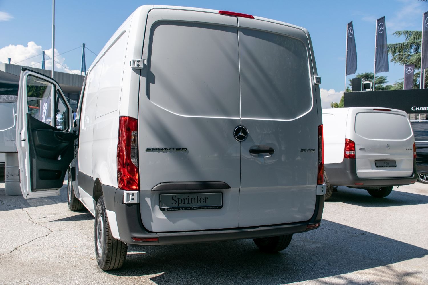 Rear view of panel van with double rear doors and vertical taillights