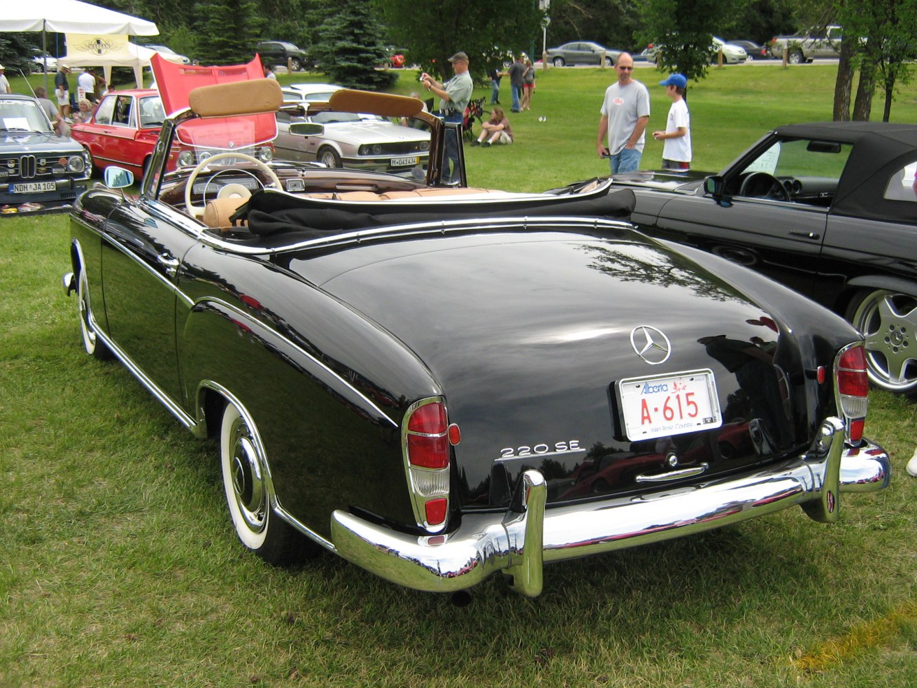 Rear view of a classic convertible with chrome bumper and vintage taillights