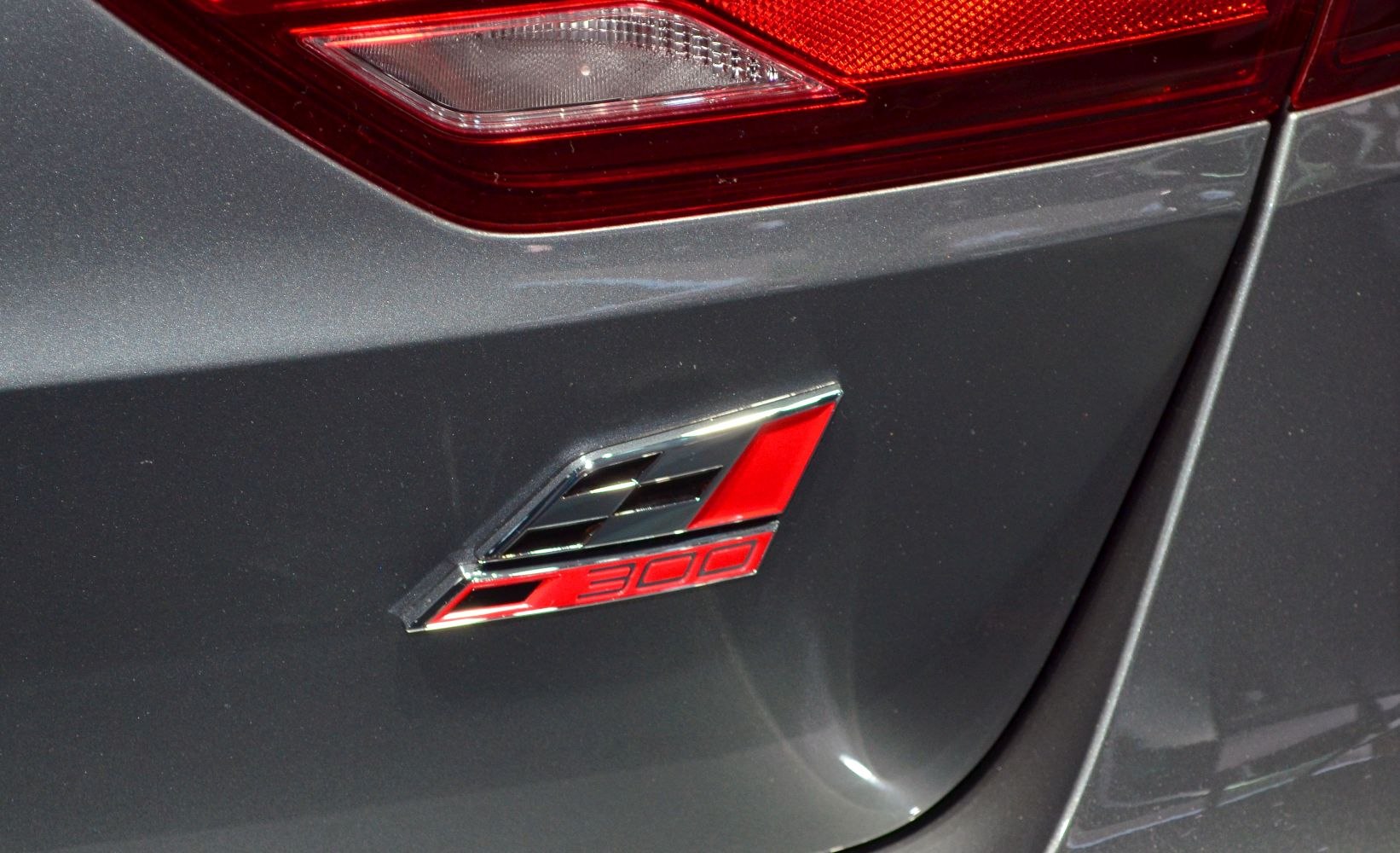 Rear fender '300' badge and tail light segment