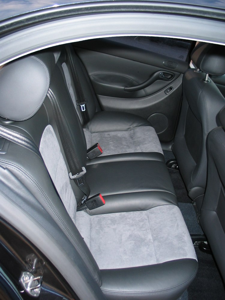 Two-tone rear seat upholstery with seat belts and door panel.