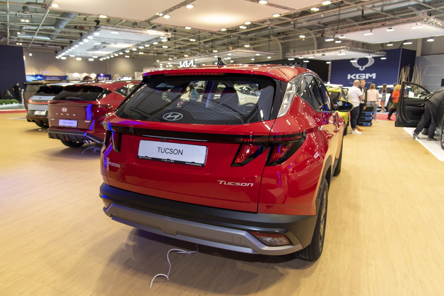 Rear view and tail light design of a modern compact SUV