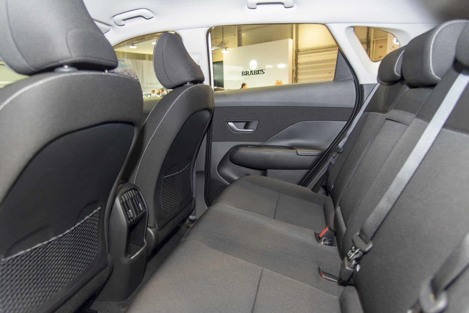 Rear passenger seating and door panel interior view